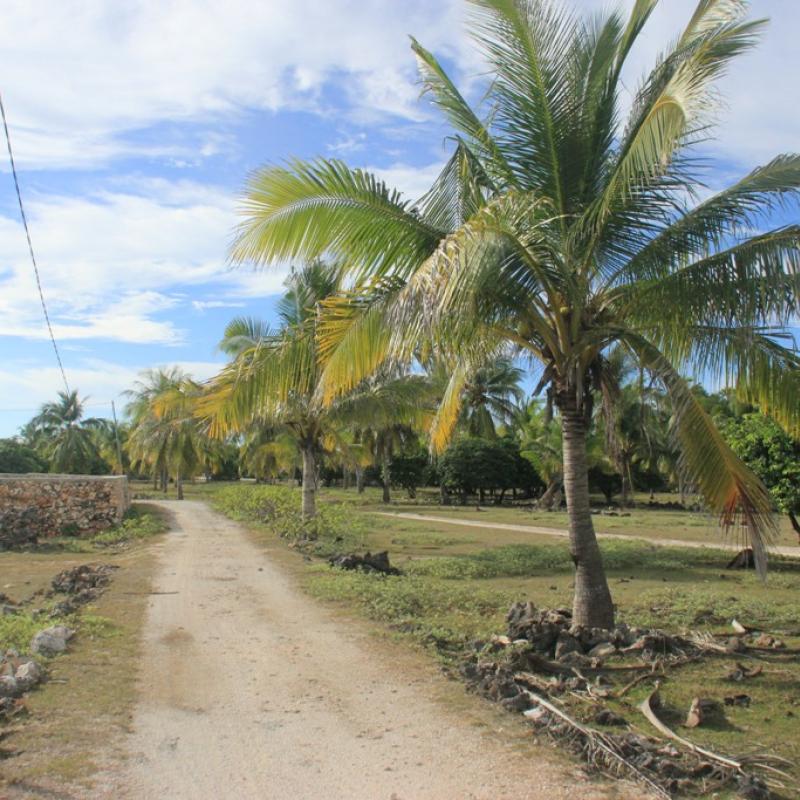 Terrain – villa - maison – propriété – à vendre – à louer – location - location longue durée – location à l’année – investissement – achat – vente – plage – bord de mer - sable blanc – Indonésie – Roti island – Bali – chambre – notaire – consultant - juridique – création - société – administration – voyage – entreprise – hôtel – commerce – restaurant – projet – visa – permis – travail – retraite – informations – découverte – aventure – produits – naturels – spa – salon – coiffure – réflexologie – savon – shampoing – anti-moustique – tourisme – plaisir – nature – surf – plongée – exploration – exotique – exotisme – massage – traditionnel – huile de massage – coucher de soleil – photos – galerie – soin de beauté – pédicure – manucure – agent immobilier – professionnel-Land - villa - house - property - for sale - rent - rental - leasing - rent annually - investment - purchase - sale - beach - sea - white sand - Indonesia - Rote island - Bali - bedroom - notary - consultant - legal - creation - company - administration - travel - business - hotel - shop - restaurant - project - visa - permit - work - retirement - information - discovery - adventure - products - natural - spa - lounge - hairdresser - reflexology - soap - shampoo – anti-mosquito – pleasure – nature – surf – diving – exploration - exotic - exotism - massage - traditional - massage oil - sunset - pictures - gallery - beauty treatment - pedicure – manicure – real estate agent – professional-Tanah - villa - rumah - properti - Dijual - disewakan - dikontrakan - menyewa per tahun - investasi - pembelian - penjualan - pantai - laut - pasir putih - Indonesia - pulau Roti - Bali - bedroom - notaris - konsultan - hukum - penciptaan - wisata - - bisnis - Hotel - bisnis - restoran - proyek - visa - izin - pekerjaan - pensiun - informasi - penemuan - petualangan - produk - spa - - alam ruang duduk - penata rambut - reflexology masyarakat - administrasi - sabun - shampoo – anti-nyamuk - Pariwisata - menyenangkan - semacam - surfing - diving – eksplorasi - eksotik - eksotis - pijat - tradisional - pijat minyak - sunset - Foto - galeri - perawatan kecantikan - pedicure – manicure – properti agen - Profesional